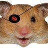 David B. Wilson, MD's profile picture