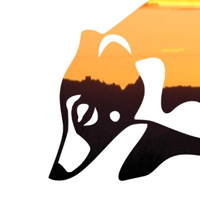 Sky Island Alliance's profile picture