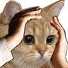 Idek anymore's profile picture