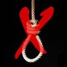 شاهین زمینی's profile picture