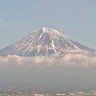 nihon_mikata's profile picture
