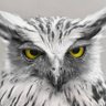 goshorn_s profil fotoğrafı