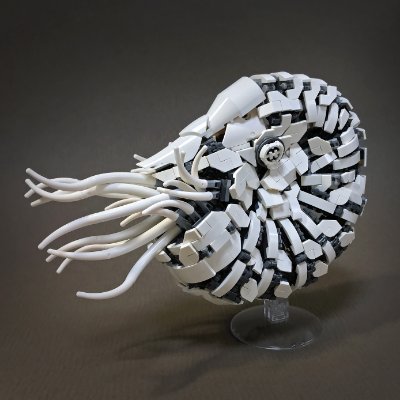 二階堂満@機械生物図鑑's profile picture
