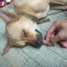 joemy oregon profil fotoğrafı