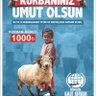 Фото профиля mehmet Tamaç