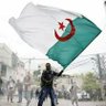 kamel ben ahmed كمال بن احمد 的头像
