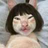 Nboc's profile picture
