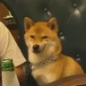 Panna's profile picture