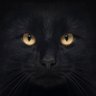 papa's profile picture
