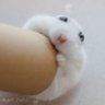 凛Rin☆ 的头像