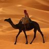 همام 的头像