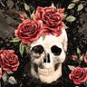 Denise Sheahart's profile picture