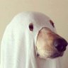 Profilbild von Charly