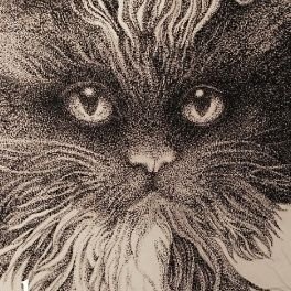 黒猫†フランベルジュ's profile picture