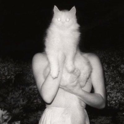 Olivialsr6's profile picture