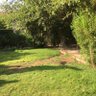 maha profil fotoğrafı