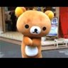 Mucci 🐻's profile picture