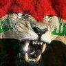 🇮🇶 SANTAFIS 🇮🇶 的头像