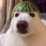 _Gonza_'s profile picture