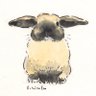 葉月🐰's profile picture