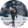 🕊🕊 profil fotoğrafı
