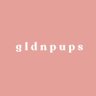 gldnpups 的头像