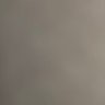 中's profile picture