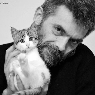 Elis Bektaš's profile picture
