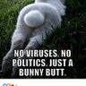 Bunny butt's profile picture
