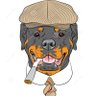 Profilbild von Lee