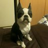 天邪鬼 profil fotoğrafı