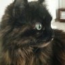 Фото профиля kat.tzi.