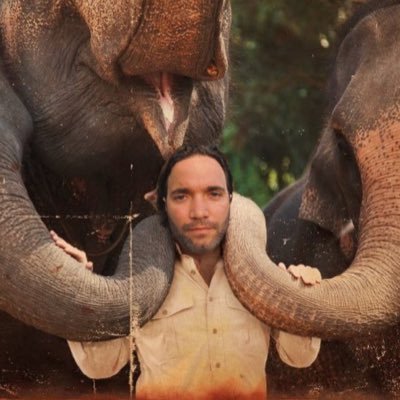 amlivemon's profile picture