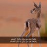 ﮼أسماء﮼☕️🎻 profil fotoğrafı