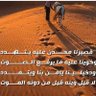 محمد الشمري's profile picture