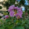 ♡lhyn profil fotoğrafı