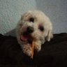 Don Guasito🐕🐶🐩 profil fotoğrafı