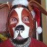 Фото профиля pokey the Beagle