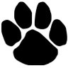 Southpaw Patriot's profile picture