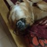Profilbild von Luca