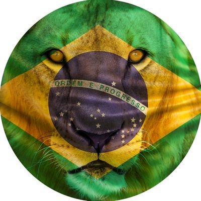 O Lavajatista #BrasilConsciente's profile picture