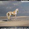 women lover profil fotoğrafı