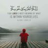 M0hamed.Ali's profile picture