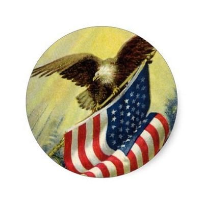 True Patriot 🇺🇸🇺🇸's profile picture
