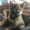 空白's profile picture