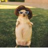 La patrona's profile picture
