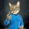Фото профиля Commander Cat 🖖 Manifest Peace 🌻