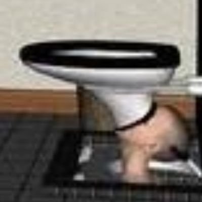 mndmtwzrymlp's profile picture