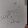 Profilbild von Crow