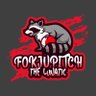 fokjupitch's profile picture